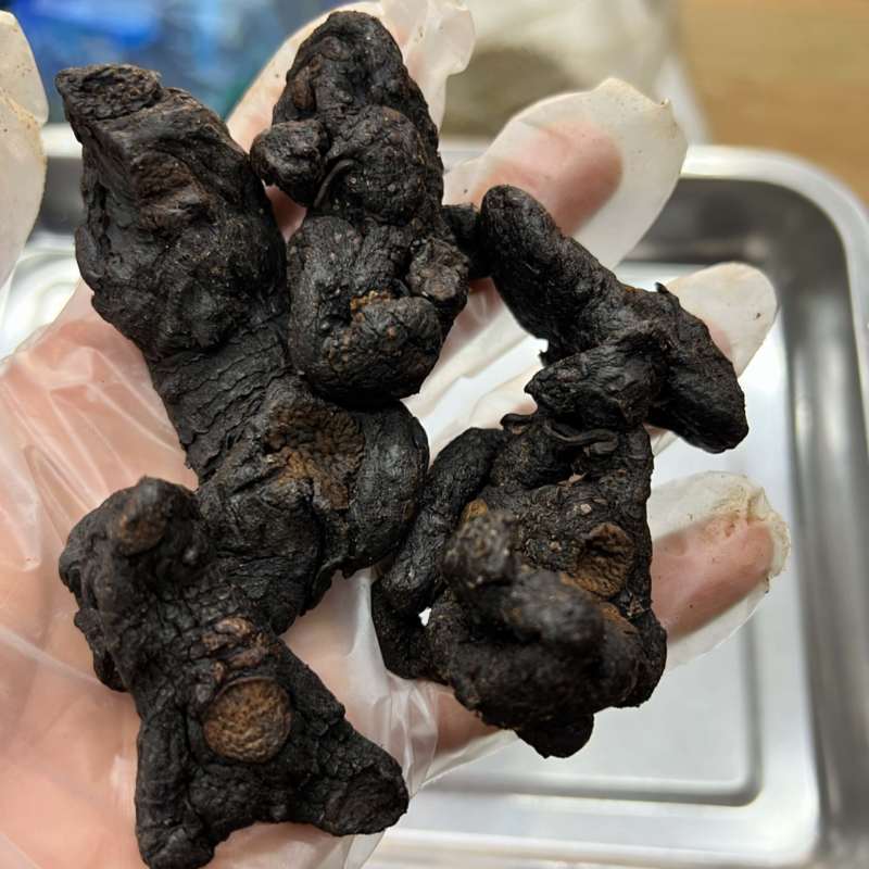 云南深山黄精多花制黄精滇黄精鸡头黄精不满意包退换