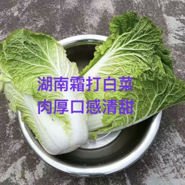 湖南霜打白菜