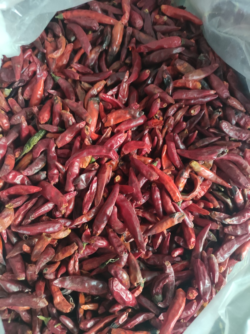 青红干辣椒