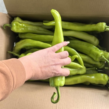 精品黄皮尖椒