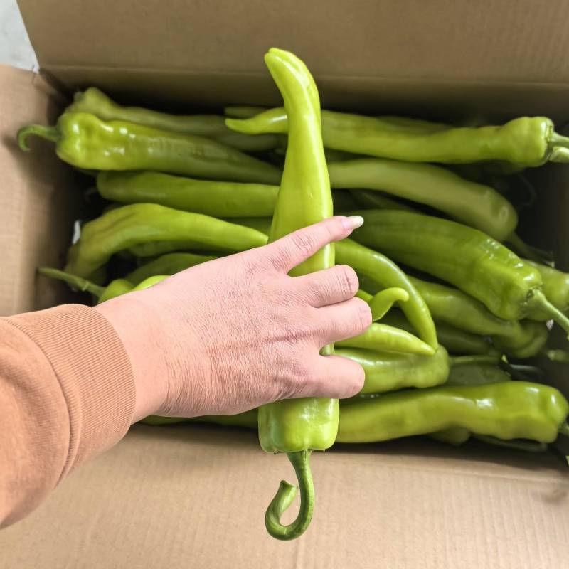 精品黄皮尖椒