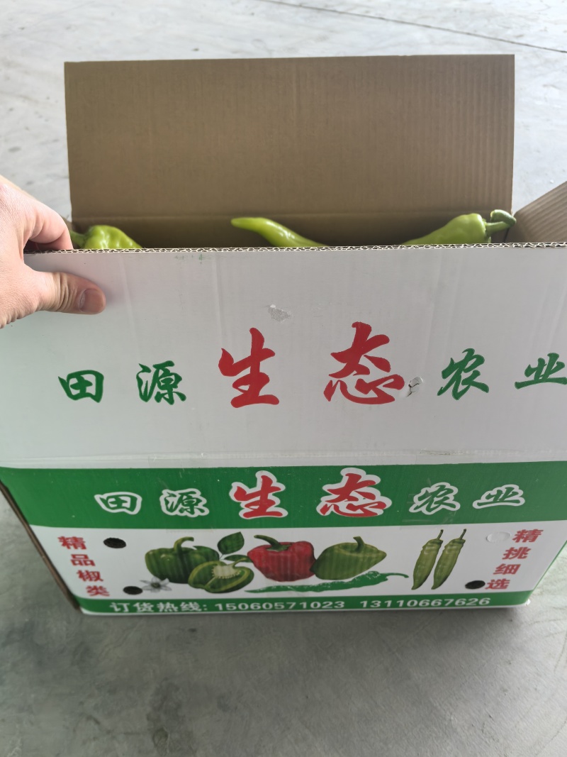 精品黄皮尖椒