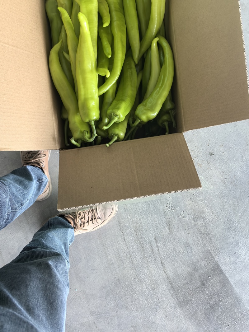 精品黄皮尖椒