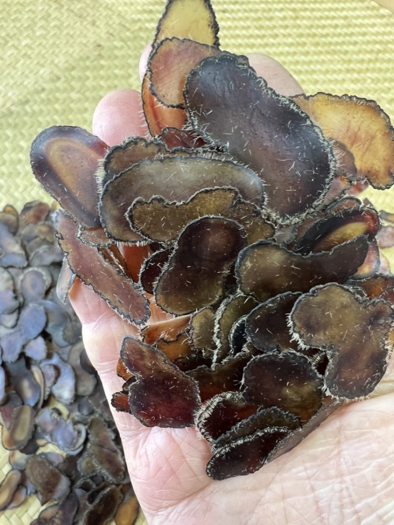 鹿茸全腊片腰花片，经济实惠款，煲汤，泡酒