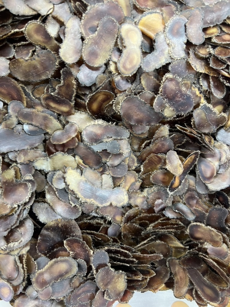 鹿茸全腊片腰花片，经济实惠款，煲汤，泡酒
