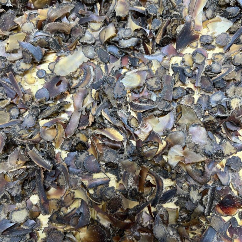 鹿茸全腊片碎片，经济实惠，真心推荐，煲汤，泡茶