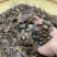 鹿茸全腊片碎片，经济实惠，真心推荐，煲汤，泡茶
