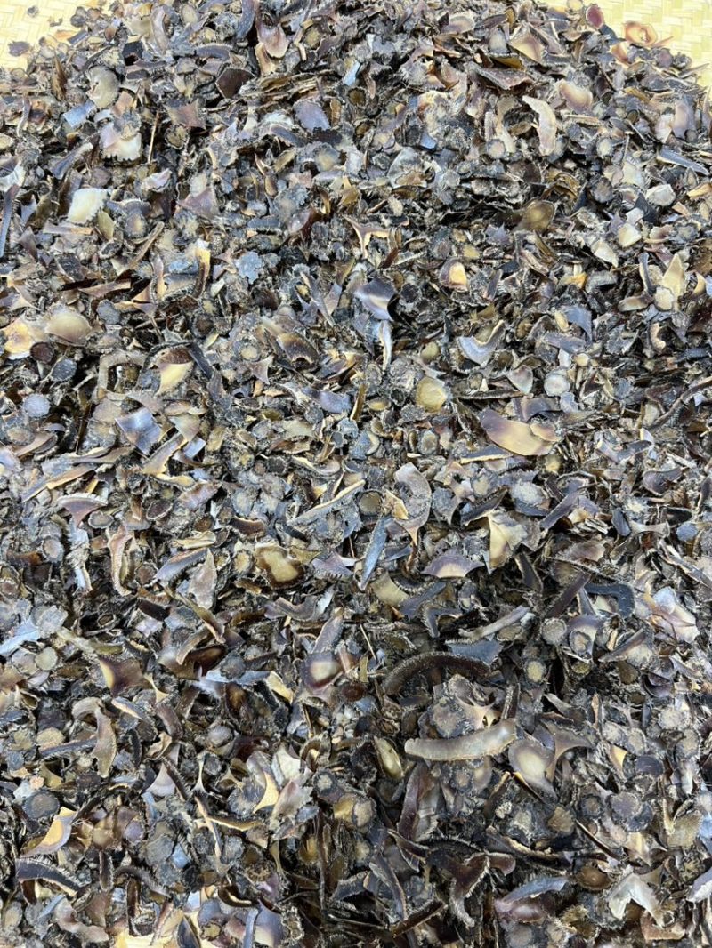 鹿茸全腊片碎片，经济实惠，真心推荐，煲汤，泡茶