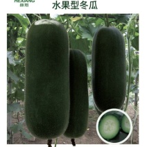 杜绝假货水果型冬瓜种子小冬瓜籽早春青绿色菜籽蔬菜种子