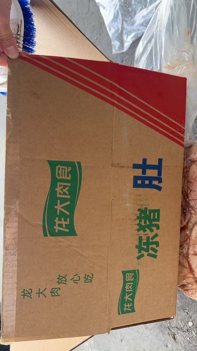 龙大二级肥猪大肚
