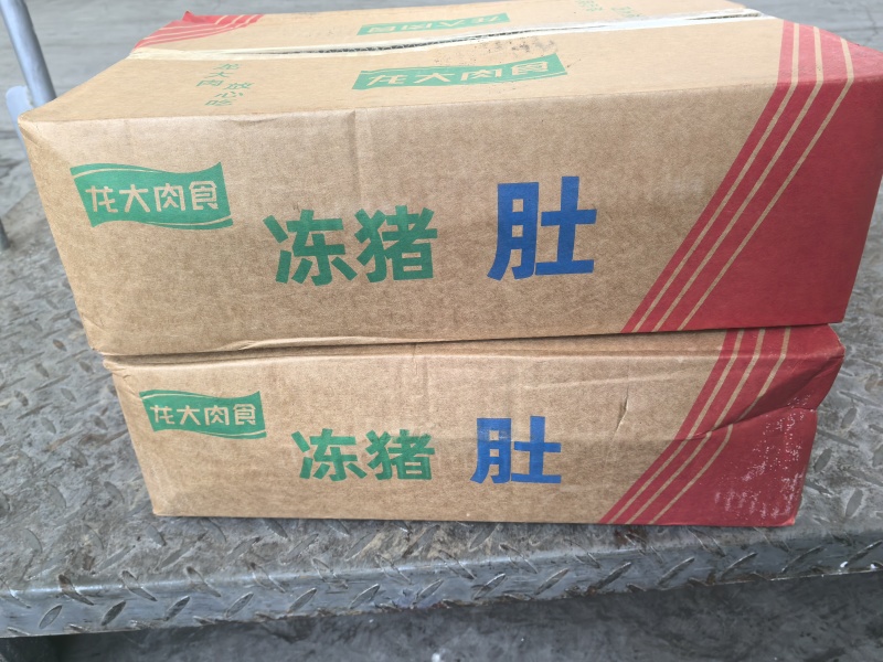龙大二级肥猪大肚