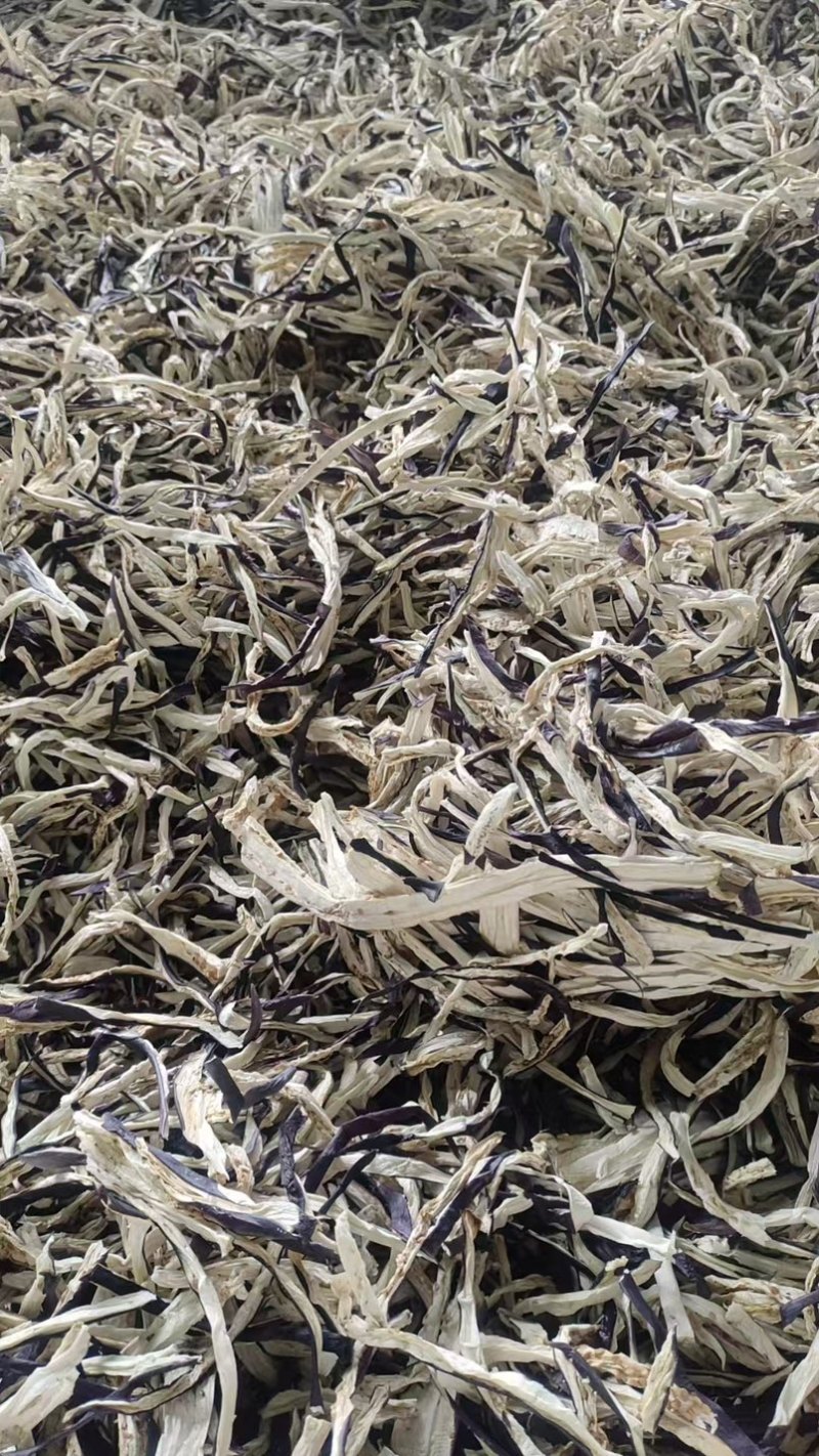 2026年精品茄子片/丝茄子干茄子片自然风干蔬菜