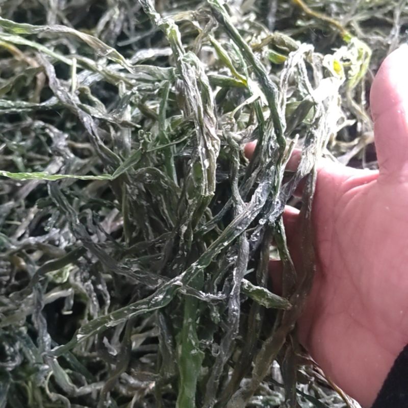 2024年新品架豆王无筋豆脱水蔬菜干货