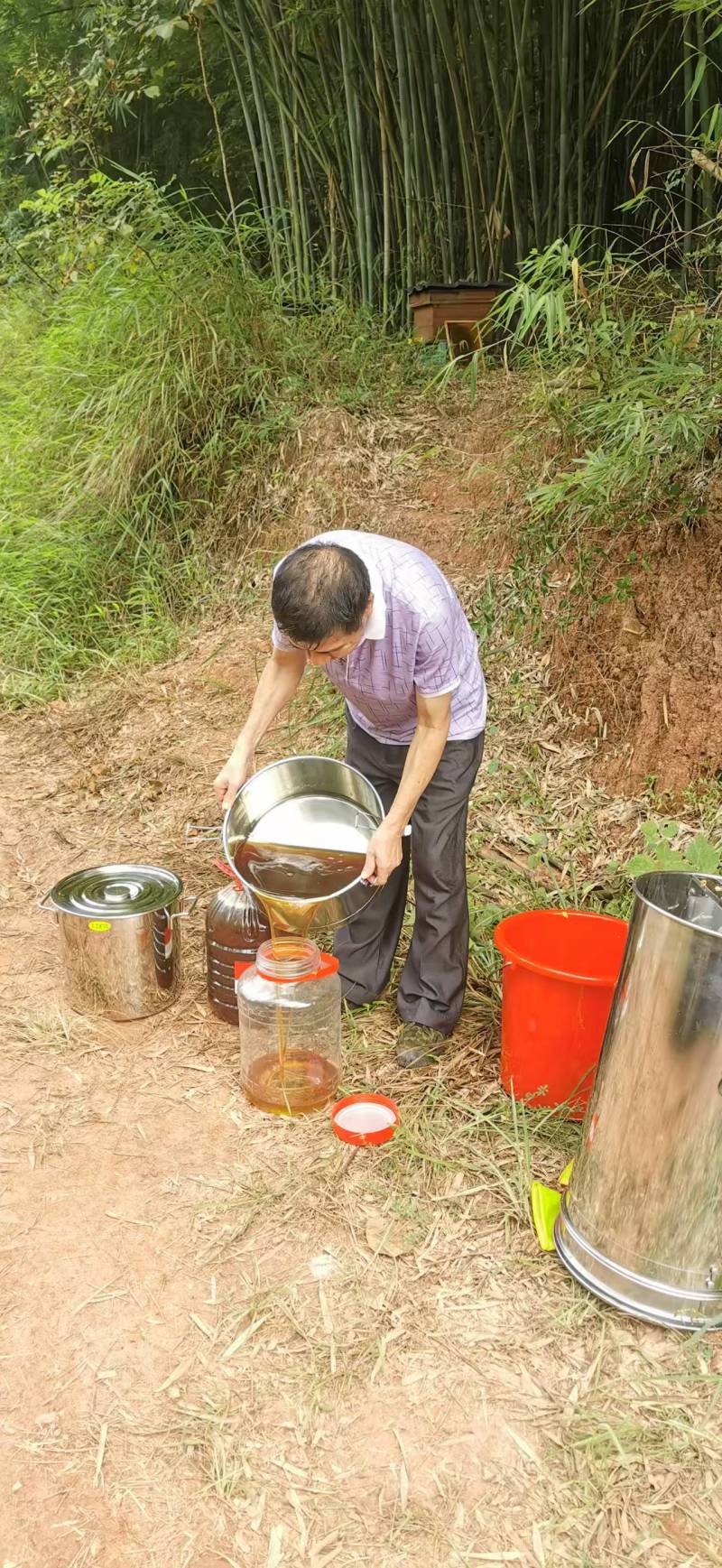 自家蜂蜜