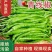 《线椒》5号线椒，8号线椒，3号线椒，产地直发保质保量