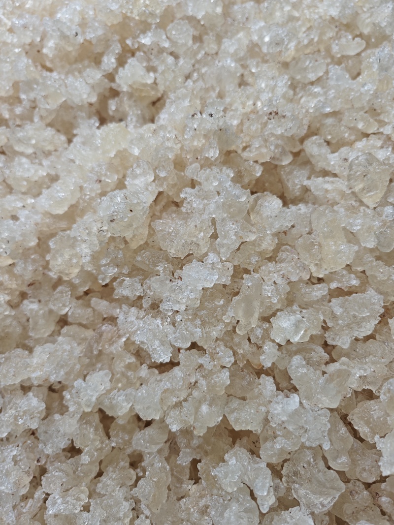 【产地直采】专业供应雪燕规格齐全诚寻长期合作伙伴