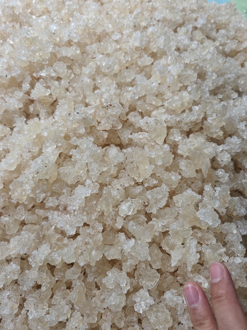 【产地直采】专业供应雪燕规格齐全诚寻长期合作伙伴
