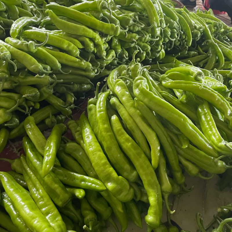 广东鲜辣椒《青皮尖椒》黄皮尖椒/产地货源/保质保量/