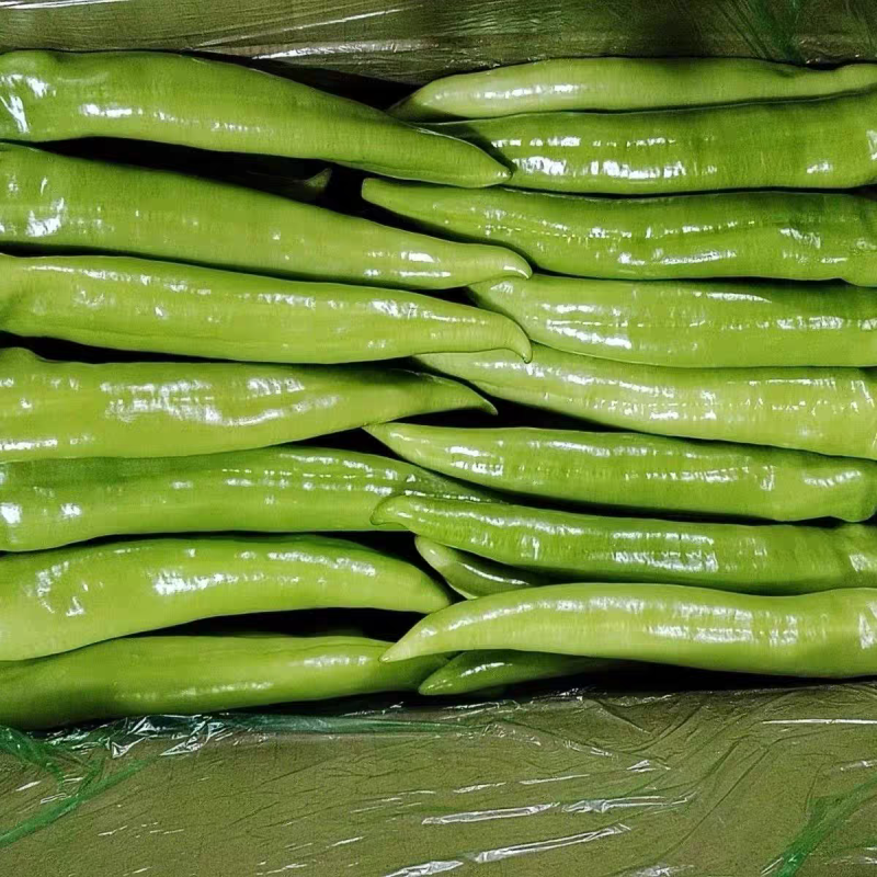 广东鲜辣椒《青皮尖椒》黄皮尖椒/产地货源/保质保量/
