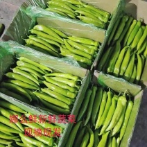 《黄皮尖椒》黄皮辣椒/产地货源/保质保量/全国供应批发