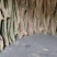 现货精品荔枝木炭龙眼木炭黄芽木炭大量供应易燃耐烧