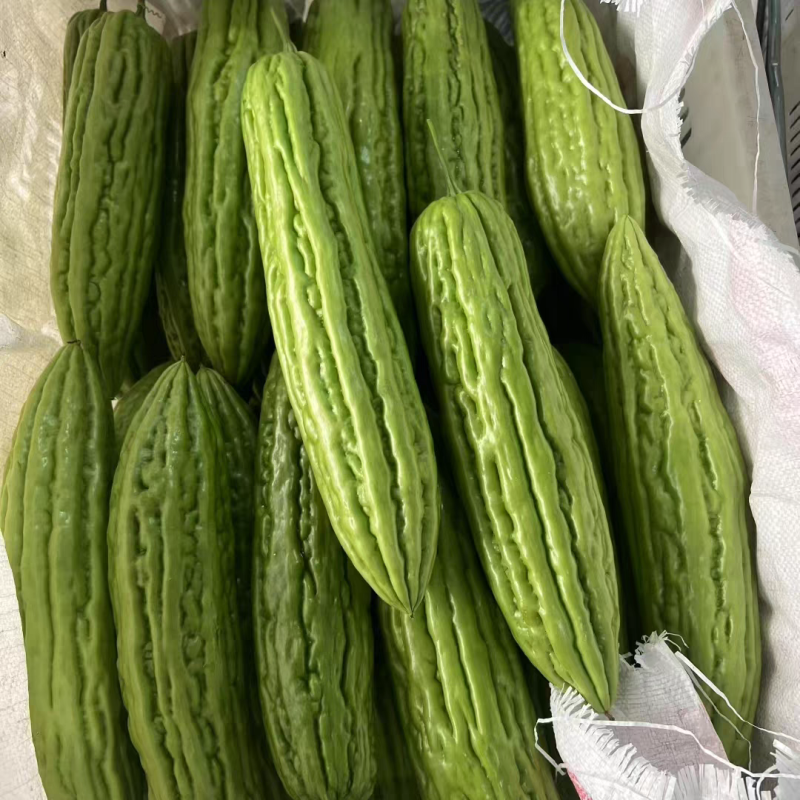 《广东苦瓜》油苦瓜/水果奶茶苦瓜/产地货源/保质保量