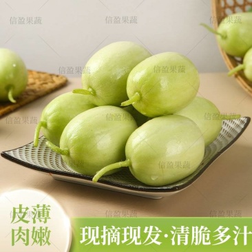 【一手货源】山东金童玉女水果黄瓜对接各大市场商超电商