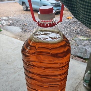 山茶油