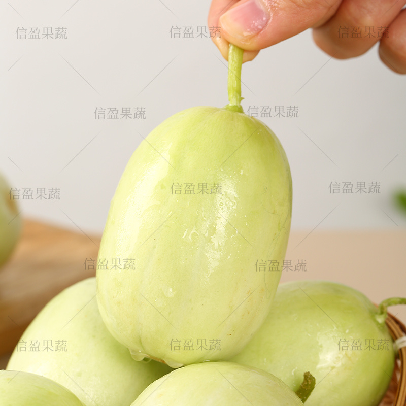 【一手货源】山东金童玉女水果黄瓜对接各大市场商超电商