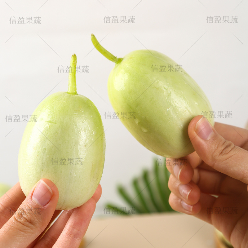 【一手货源】山东金童玉女水果黄瓜对接各大市场商超电商