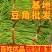 《广东豆角》青条豆角/长豆角/产地货源/保质保量