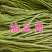 《广东豆角》青条豆角/长豆角/产地货源/保质保量