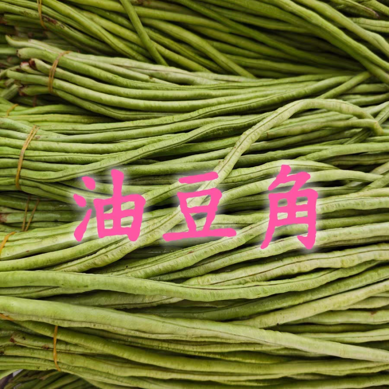 《广东豆角》青条豆角/长豆角/产地货源/保质保量