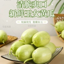 【一件代发】山东金童玉女小黄瓜脆甜爽口新鲜采摘