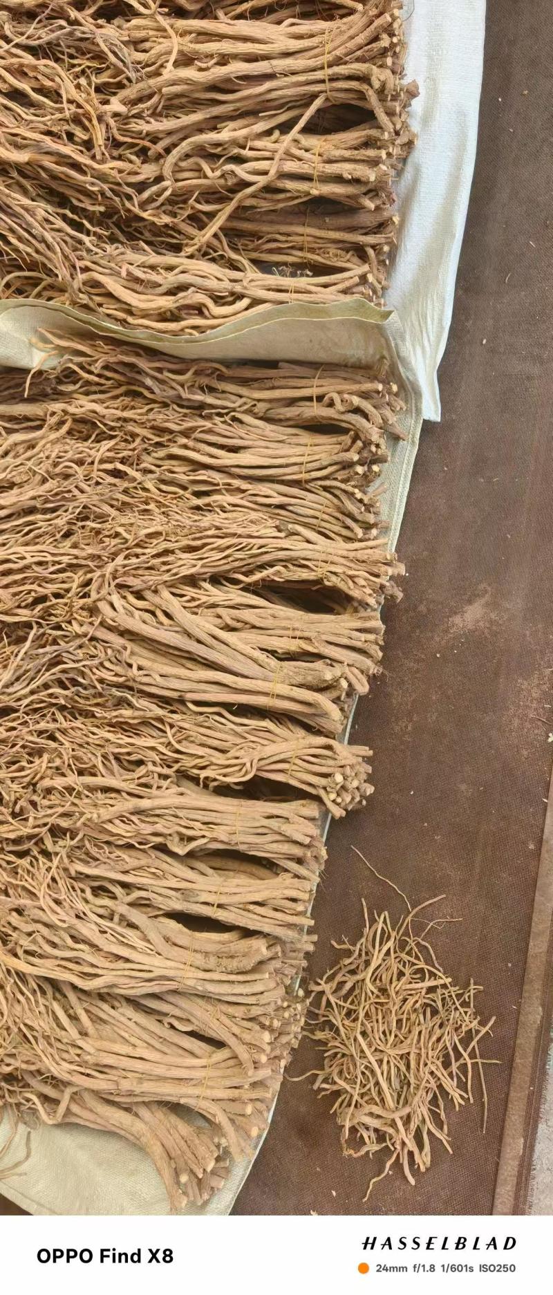 关防风