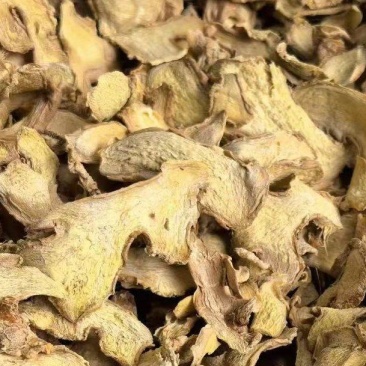 姜黄姜黄片钱姜黄