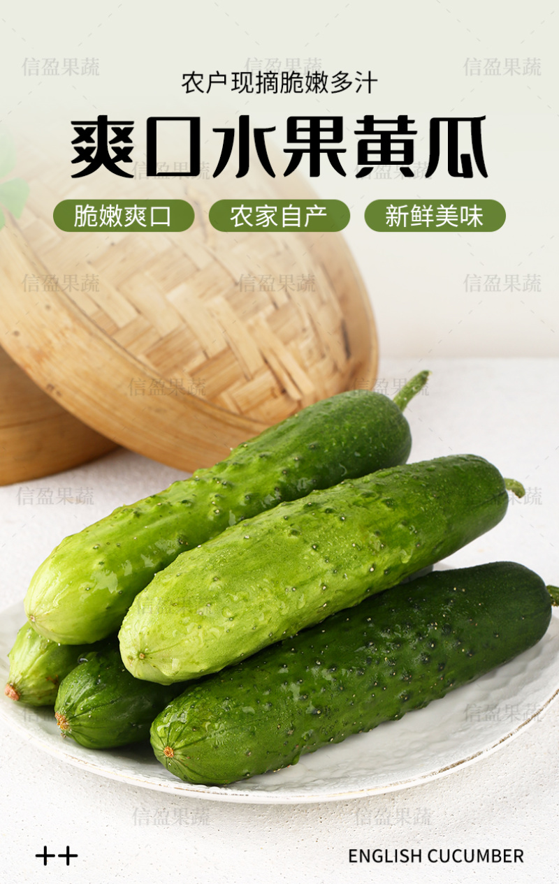 【一件代发】山东旱黄瓜脆嫩多汁自然清香新鲜直达