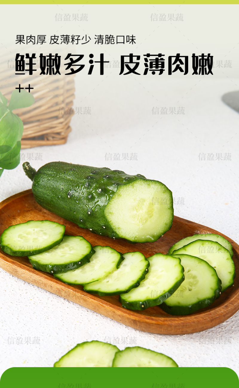 【一件代发】山东旱黄瓜脆嫩多汁自然清香新鲜直达
