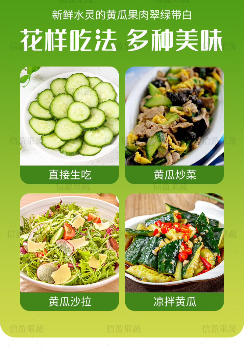 【一件代发】山东旱黄瓜脆嫩多汁自然清香新鲜直达
