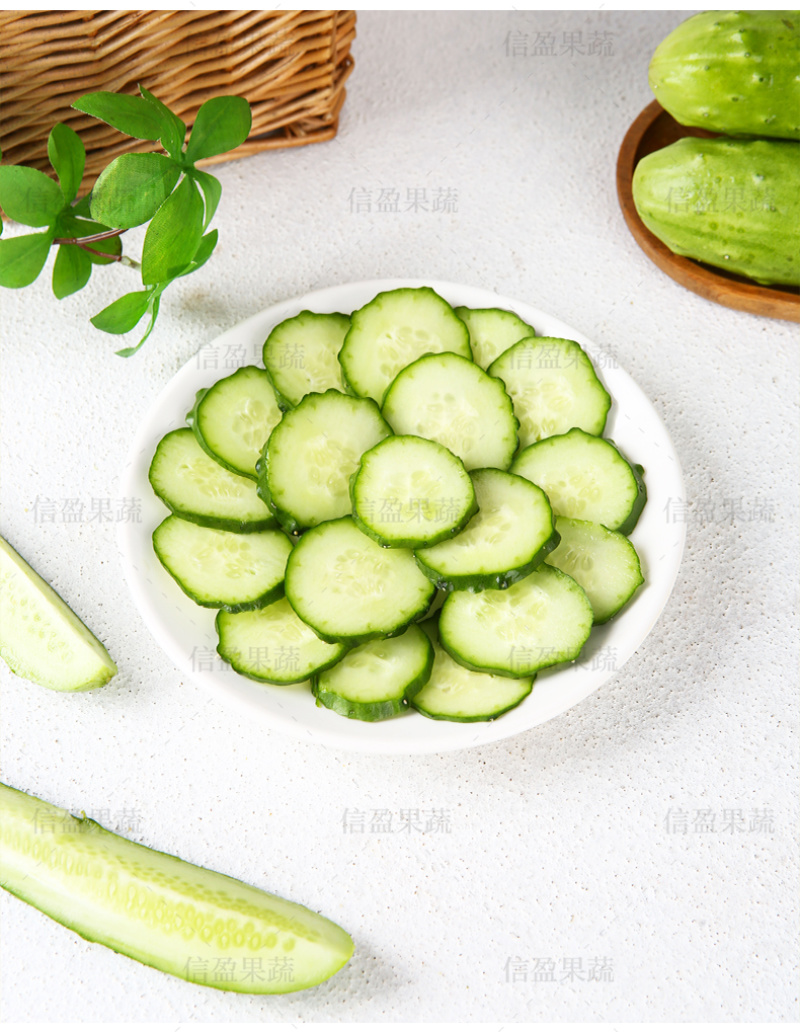 【一件代发】山东旱黄瓜脆嫩多汁自然清香新鲜直达