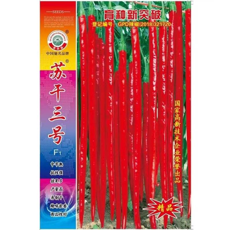 苏干二号长线椒种子高产辣味浓香青红干鲜多用型顺直线椒种子