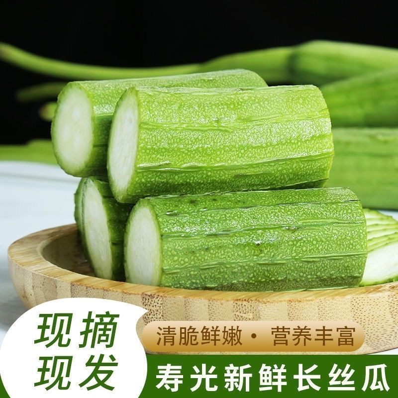 山东潍坊寿光鲜花丝瓜对接市场商超电商可一件代发