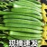 山东潍坊寿光鲜花丝瓜对接市场商超电商可一件代发