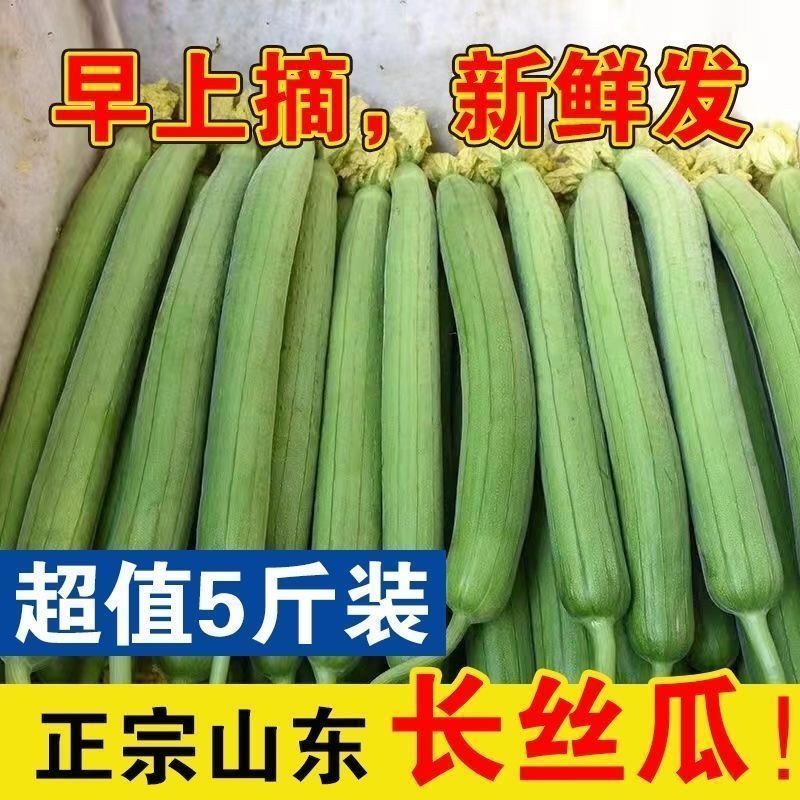 山东潍坊寿光鲜花丝瓜对接市场商超电商可一件代发