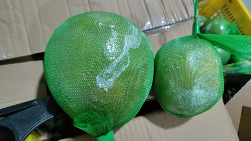 翡翠青柚各种规格需要的来电
