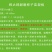 辉太郎甜柿苗家庭盆栽地栽基地直发正宗正版