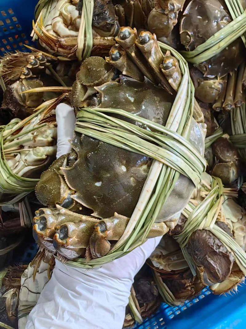 正中高邮湖大螃蟹礼盒包装鲜活发货壳薄肉嫩缺重包赔