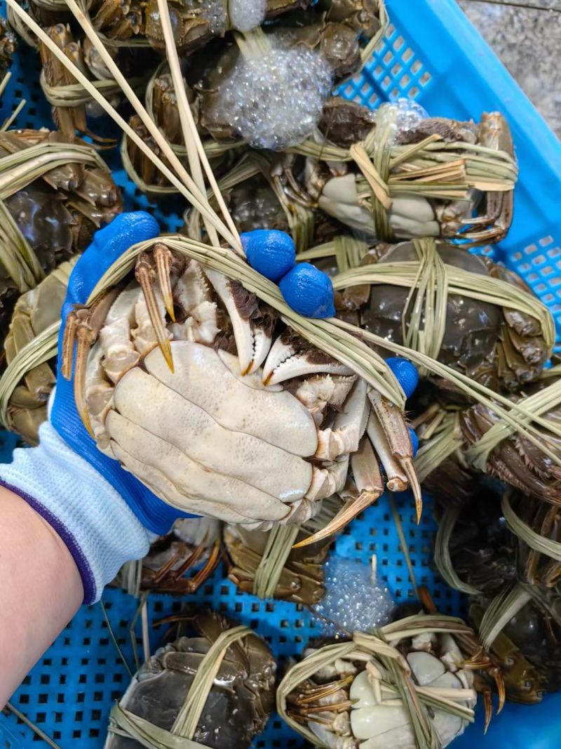 正中高邮湖大螃蟹礼盒包装鲜活发货壳薄肉嫩缺重包赔