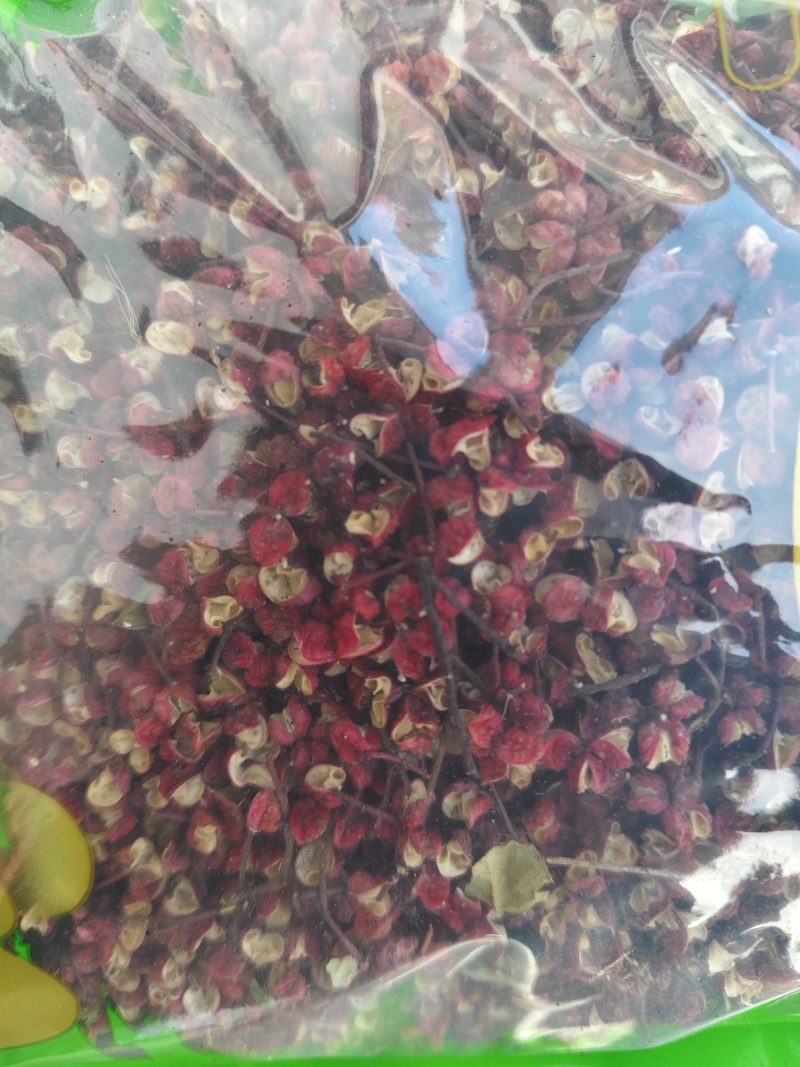 自产自销新品无籽大红袍花椒，油椒一手货源批发批发，零售。