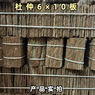 杜仲中药材精选刮皮丝1×1厚片去皮板6×10板块规格齐全
